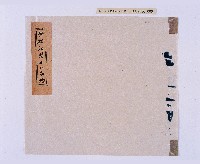 藏品(乾隆四十年（1775）立禁岸社通事潘輝光同副通事、土官等申禁砍伐以裕課糧以全保障事)的圖片